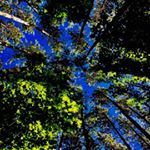 Profile Picture of Matthew B (@bruni831) on Instagram