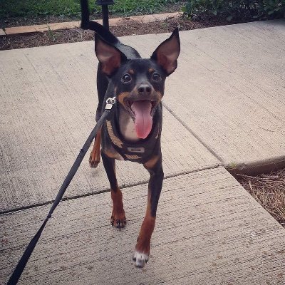 Profile Picture of Sherry Clayton (@gremow2014) on Twitter