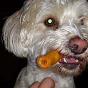 Profile Picture of Jeremy Meyer (@jeremymeyer8320) on Youtube