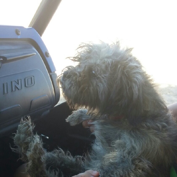 Profile Picture of Daniel Armas (@danielarmas) on Poshmark