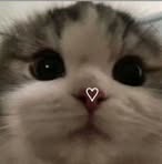 Profile Picture of Lucia Cid (@Lucia-Cid) on Facebook