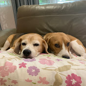 Profile Picture of Tiffany Yap (@tiffanyyap5146) on Youtube