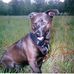 Profile Picture of Jacqueline Haynes (@jacqueline.haynes.399) on Facebook