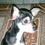 Profile Picture of kovács Dóra officel (@kovacseantal) on Instagram