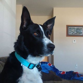 Profile Picture of Bob Breitbach (@bob.breitbach) on Facebook