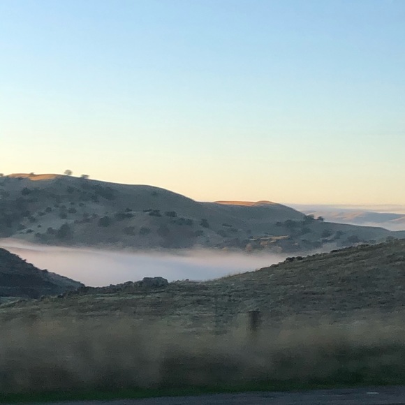 Profile Picture of Skyler Cook (@cookguy) on Poshmark