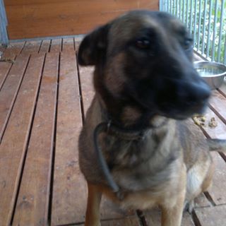 Profile Picture of Ewa Pawlowicz (@ewa.pawlowicz.3) on Facebook