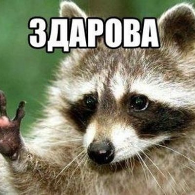 Profile Picture of Дмитрий Бородинов (@Tony_Routh01) on Twitter