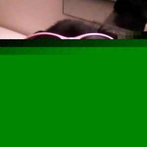 Profile Picture of Foof Dogg (@126641195) on Myspace