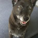 Profile Picture of Brian Dedovich (@Brian-Dedovich) on Facebook