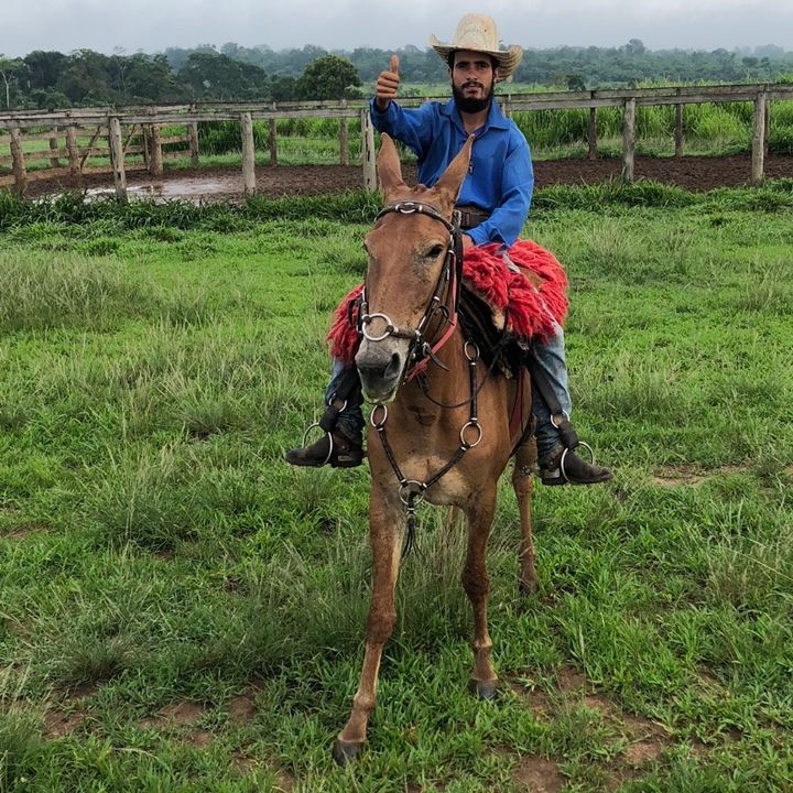 Profile Picture of Patrick Lourenço  (@patricklouren) on Tiktok
