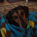 Profile Picture of Kim Click-Graef (@clickgraef) on Pinterest