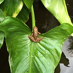 Profile Picture of Ian Miller (@ianmiller888) on Flickr