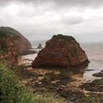 Profile Picture of Janet Seddon (@janet.meyers.946) on Instagram