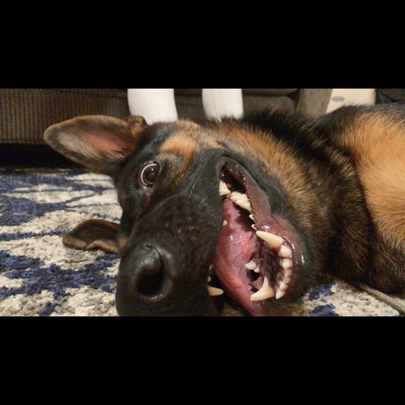 Profile Picture of Cassidy Stewart (@cassidystewa221) on Poshmark