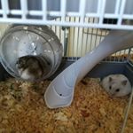 Profile Picture of Gin&Tony (@gintony89) on Instagram