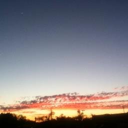 Profile Picture of Pat Alvarado (@patalvarado174) on Twitter