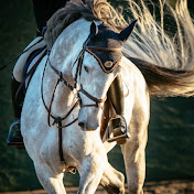 Profile Picture of Julia Seltz (@juliaseltz3811) on Youtube