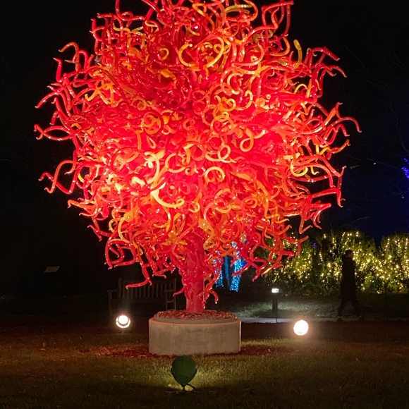 Profile Picture of Wendy Lahiff (@wendylahiff) on Poshmark