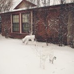 Profile Picture of Andrew Klingensmith (@sumodeskwise) on Instagram