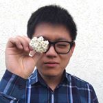 Luke  Sun - Instagram Profile Picture of Luke  Sun (@luke90luke) on Instagram