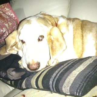 Heather Mellish - Facebook Profile Picture of Heather Mellish (@heather.mellish) on Facebook