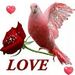Profile Picture of Jean Daniel Leroy Leroy (@jdleroy2051) on Pinterest