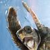 Profile Picture of Justin Bruner (@Justin-Bruner) on Facebook