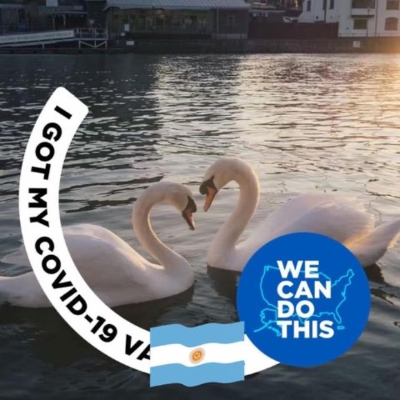 Profile Picture of Shelock Zhang (@alexccv) on Poshmark