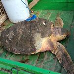 Profile Picture of James Gasowski (@gasowskijames) on Instagram