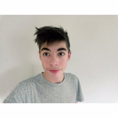 Profile Picture of Mike Van Der Velde (@Nincsdervelde) on Twitter