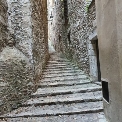 Profile Picture of Albert Llopart Castello (@llopart_albert) on Twitter