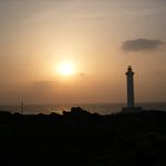 Profile Picture of Céline Davignon (@ceceda225) on Instagram