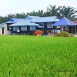 Profile Picture of D'Bendang Homestay (@dbendanghomestay) on Instagram