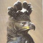 Profile Picture of lawrencejackson (@lawrencejackson) on Instagram