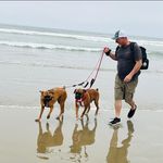 BobbieJo Roach Unsell - Instagram Profile Picture of BobbieJo Roach Unsell (@bobbiejo_unsell) on Instagram