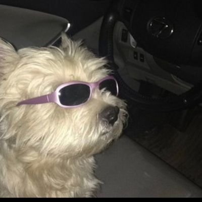 Profile Picture of Olivia Reyna (@OliviaR04806109) on Twitter