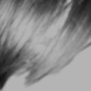 Profile Picture of Carla Brown (@lady8love) on Myspace