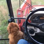 Profile Picture of James Hardway (@james.hardway.520) on Facebook