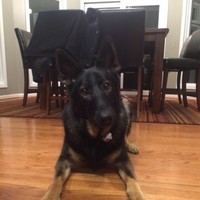 Profile Picture of Evan M. Inger (@evan-m-inger) on Quora