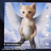 Profile Picture of Steven Benavides (@stevenbenavides7442) on Youtube