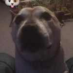 Ricky Redmond - Instagram Profile Picture of Ricky Redmond (@rickyredmond) on Instagram