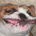 Profile Picture of Cunt Millington (@joe_millington) on Instagram