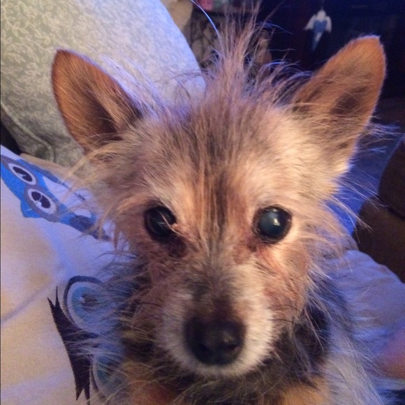 Sherry Higginbottom - Poshmark Profile Picture of Sherry Higginbottom (@shigginb01) on Poshmark