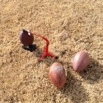 Hayden Hilliard - Instagram Profile Picture of Hayden Hilliard (@beastrunningback5) on Instagram