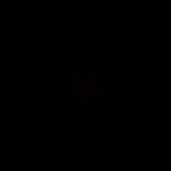 Profile Picture of Bryce Webb (@bryca226561) on Poshmark