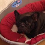Profile Picture of Jessica Rose Thompson (@jessicarosethompson5777) on Instagram