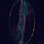Profile Picture of Paul Scheibl (@scheiblxd) on Instagram