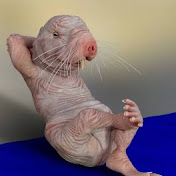 Profile Picture of Garrett Davis (@GarrettDavis-q6t) on Youtube