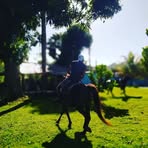 Profile Picture of Douglas Aurelio (@douglas.medina.96387) on Facebook